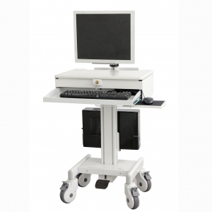 Mobile computing cart with monitor Arm