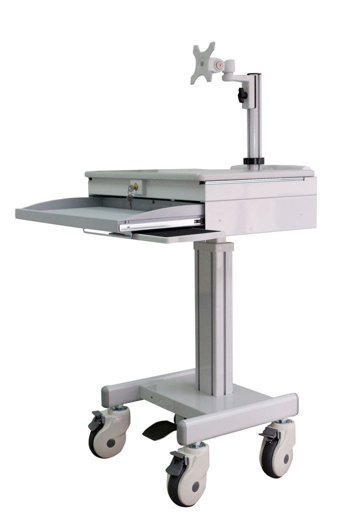 Mobile computing cart with monitor Arm