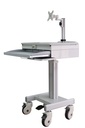 Mobile computing cart with monitor Arm