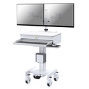 Mobile computing cart with Dual monitor Arm