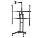 Electronic Whiteboard  & Projector Trolley